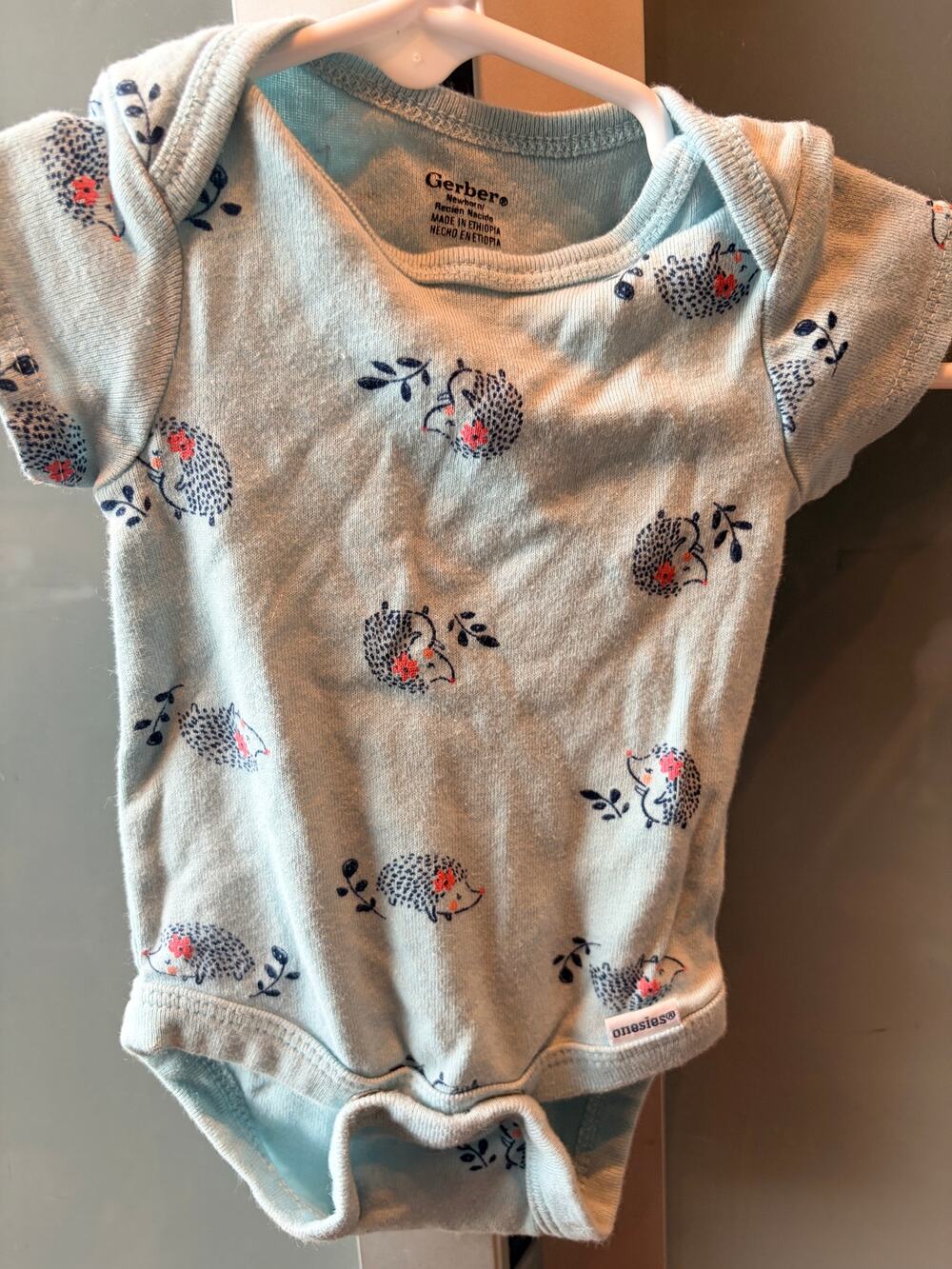 Gerber Newborn Girl Onesie Hedgehog Floral Print Mint Blue Bodysuit